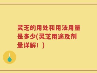 灵芝的用处和用法用量是多少(灵芝用途及剂量详解！)