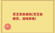 灵芝煲田螺肉(灵芝田螺煲，滋味鲜美)
