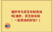猪肝可与灵芝石斛煲汤吗(猪肝、灵芝和石斛：一起煲汤的好处？)
