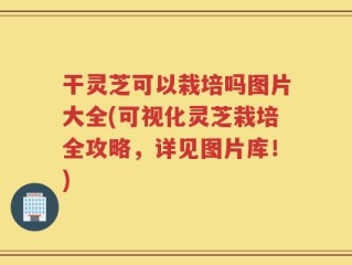 干灵芝可以栽培吗图片大全(可视化灵芝栽培全攻略，详见图片库！)