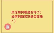 灵芝如何看是否坏了(如何判断灵芝是否变质？)