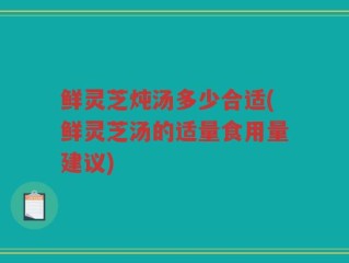 鲜灵芝炖汤多少合适(鲜灵芝汤的适量食用量建议)