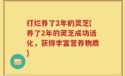 打烂养了2年的灵芝(养了2年的灵芝成功活化，获得丰富营养物质)
