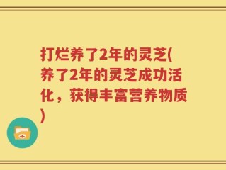 打烂养了2年的灵芝(养了2年的灵芝成功活化，获得丰富营养物质)