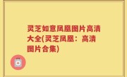 灵芝如意凤凰图片高清大全(灵芝凤凰：高清图片合集)