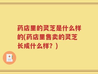 药店里的灵芝是什么样的(药店里售卖的灵芝长成什么样？)