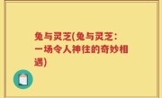 兔与灵芝(兔与灵芝：一场令人神往的奇妙相遇)
