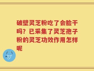 破壁灵芝粉吃了会脸干吗？已采集了灵芝孢子粉的灵芝功效作用怎样呢