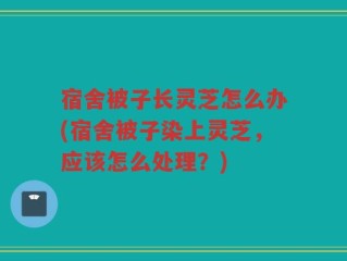 宿舍被子长灵芝怎么办(宿舍被子染上灵芝，应该怎么处理？)