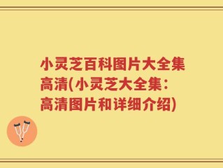 小灵芝百科图片大全集高清(小灵芝大全集：高清图片和详细介绍)