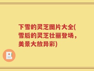 下雪的灵芝图片大全(雪后的灵芝壮丽登场，美景大放异彩)