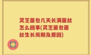 灵芝菌包几天长满菌丝怎么回事(灵芝菌包菌丝生长周期及原因)