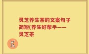 灵芝养生茶的文案句子简短(养生好帮手——灵芝茶