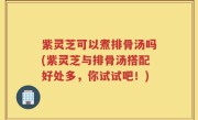 紫灵芝可以煮排骨汤吗(紫灵芝与排骨汤搭配好处多，你试试吧！)