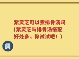 紫灵芝可以煮排骨汤吗(紫灵芝与排骨汤搭配好处多，你试试吧！)