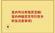 室内可以养殖灵芝嘛(室内种植灵芝可行性分析及注意事项)
