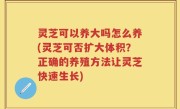 灵芝可以养大吗怎么养(灵芝可否扩大体积？正确的养殖方法让灵芝快速生长)