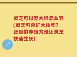 灵芝可以养大吗怎么养(灵芝可否扩大体积？正确的养殖方法让灵芝快速生长)