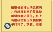 破壁机能打大块灵芝吗？我想用家里的艾美特破壁机磨研灵芝，机上有磨研功能但又怕把机子打坏了，求教，谢谢