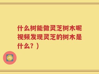 什么树能做灵芝树木呢视频发现灵芝的树木是什么？)
