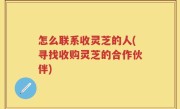 怎么联系收灵芝的人(寻找收购灵芝的合作伙伴)