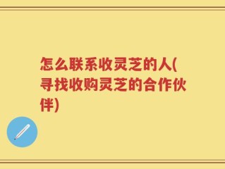 怎么联系收灵芝的人(寻找收购灵芝的合作伙伴)