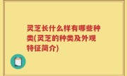 灵芝长什么样有哪些种类(灵芝的种类及外观特征简介)