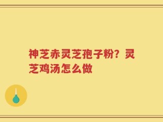 神芝赤灵芝孢子粉？灵芝鸡汤怎么做