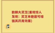 散颗大灵芝(重现惊人发现：灵芝单胞菌可增强其药用效果)
