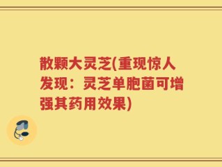 散颗大灵芝(重现惊人发现：灵芝单胞菌可增强其药用效果)
