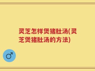 灵芝怎样煲猪肚汤(灵芝煲猪肚汤的方法)