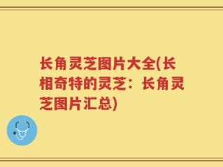长角灵芝图片大全(长相奇特的灵芝：长角灵芝图片汇总)