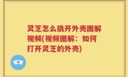 灵芝怎么撬开外壳图解视频(视频图解：如何打开灵芝的外壳)