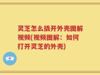 灵芝怎么撬开外壳图解视频(视频图解：如何打开灵芝的外壳)