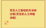 灵芝人工栽培的方法和过程(灵芝的人工种植详解)