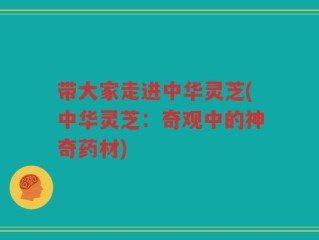 带大家走进中华灵芝(中华灵芝：奇观中的神奇药材)