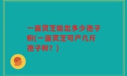 一亩灵芝能出多少孢子粉(一亩灵芝可产几斤孢子粉？)