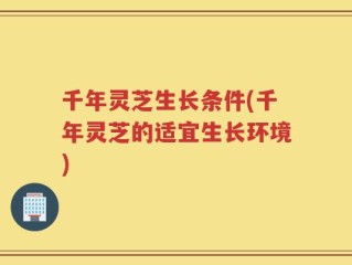 千年灵芝生长条件(千年灵芝的适宜生长环境)