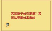 灵芝孢子长在那里？灵芝从哪里长出来的