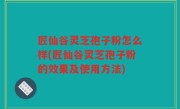 匠仙谷灵芝孢子粉怎么样(匠仙谷灵芝孢子粉的效果及使用方法)