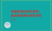鱼胶能炖红参灵芝吗(能用鱼胶炖红参灵芝吗？)