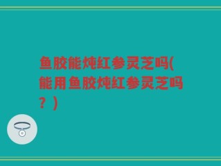 鱼胶能炖红参灵芝吗(能用鱼胶炖红参灵芝吗？)