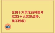 全国十大灵芝品种图片欣赏(十大灵芝品种，美不胜收)