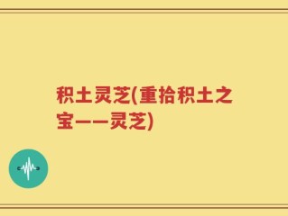 积土灵芝(重拾积土之宝——灵芝)