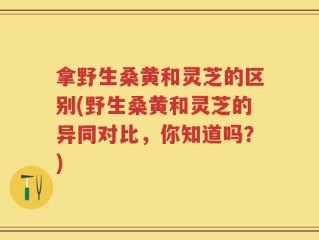 拿野生桑黄和灵芝的区别(野生桑黄和灵芝的异同对比，你知道吗？)
