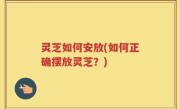 灵芝如何安放(如何正确摆放灵芝？)