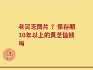 老灵芝图片 ？保存期10年以上的灵芝值钱吗