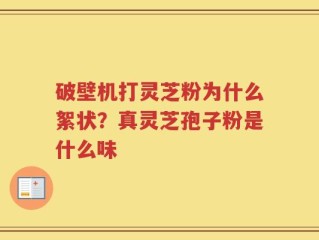 破壁机打灵芝粉为什么絮状？真灵芝孢子粉是什么味