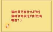 猫吃灵芝有什么好处(猫咪食用灵芝的好处有哪些？)