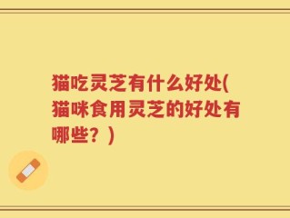 猫吃灵芝有什么好处(猫咪食用灵芝的好处有哪些？)
